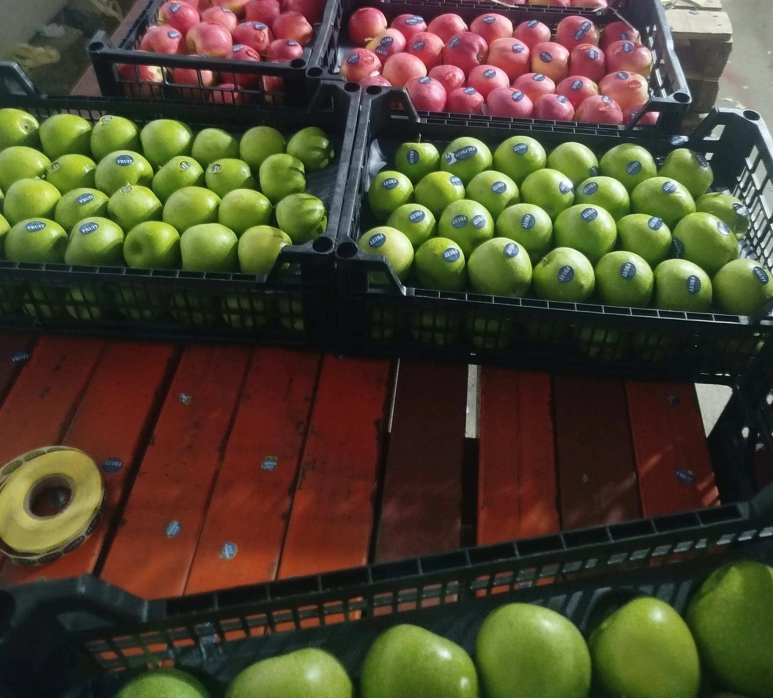 Granny Smith — Oshnaviyeh, West Azarbaijan